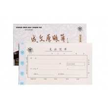成文厚304-75支出凭单 财务用品凭证单据 21*12cm（5本1包）
